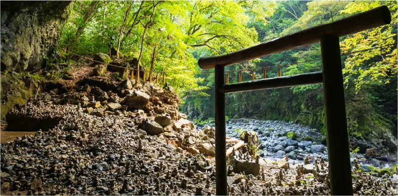 ミネラルシリカ濃縮水素イオン水「テシヨらくらく」のポイント